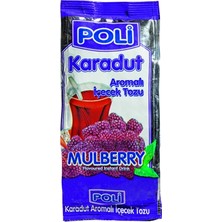 Poli Toz Içecek 300G Karadut (6'li Paket)