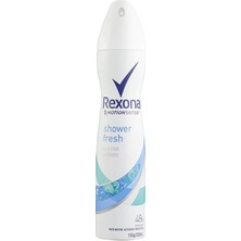 Rexona Deodorant Kadın 150ML Shower Clean (7'li Paket)