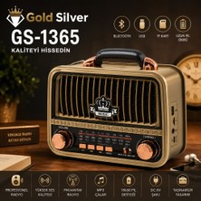 farissu Gold Silver GS-1365 Retro Tasarımlı Taşınabilir Radyo