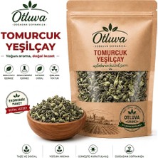 Otluva Tomurcuk Yeşilçay