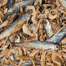 Die Grup Kurutulmuş Balık ve Karides, 750 G, Kaplumbağalar Için Uygun