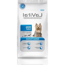 Die Grup Mini Irk Yetişkin Köpek Maması 1.5 Kg, Somonlu