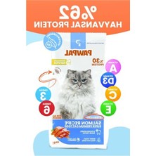Die Grup Hipoalerjenik Somonlu 10 kg Kısır Kedi Besini