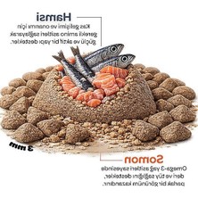 Die Grup 2 kg Somonlu ve Hamsili Yavru Kedi Maması