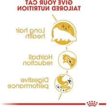 Die Grup Kedi Maması - 4 Kg, Sağlıklı Vücut Gelişimi Için