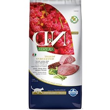 Die Grup Tahılsız Kuzu Etli Köpek Maması 5 Kg, Düşük Kalori