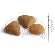 Die Grup Seçici Kedi Maması - Tavuk Ilaveli, 400 gr