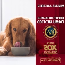 Die Grup Orta ve Büyük Irk Yetişkin Köpek Maması 3 kg - Zengin Protein Içeriği