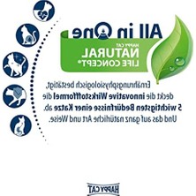 Die Grup Somonlu Kedi Maması 4kg Kısırlaştırılmış Kediler Için Özel Formül