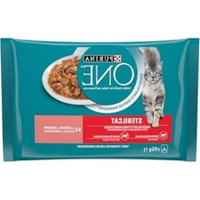 Die Grup Somonlu Kısırlaştırılmış Kediler Için Yaş Kedi Maması, 85 Gram (4 Adet)