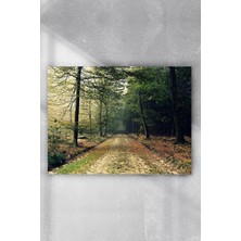 Belirtilmemiş Postermanya (PSTER3937) Ağaçlı Yol Doğa Manzara POSTER(40X60CM)