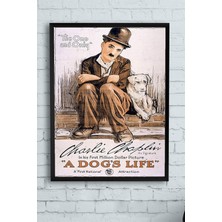 Belirtilmemiş Postermanya (PSTER10829) A Dogs Life Hayvan Çerçeveli Tablo Film Afişi (21X30CM)