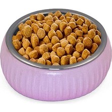 Runaway Pembe Organik Seramik Mama Kabı Paslanmaz Çelik İç Kap 250ml Su Kabı