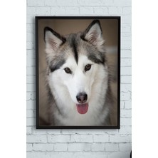 Belirtilmemiş Postermanya (PSTER11279) Husky Hayvan Çerçeveli Tablo (21X30CM)