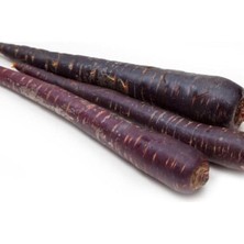 Belirtilmemiş Havuç Mor (Çoklu Tohum) - 5 Gram