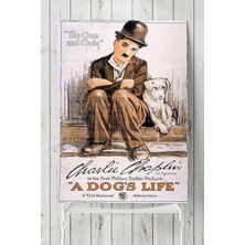 Belirtilmemiş Postermanya (PSTER4105) A Dogs Life Hayvan Posteri Film Afişi (60X90CM)