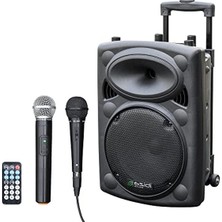 Esranın Dünyası Taşınabilir Hoparlör, 10 Inç, 500W Güç, Bluetooth ve USB ile