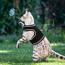 Esranın Dünyası Bypet Yeni Nesil Nefes Alabilen Kedi Göğüs Tasması Seti (Small, Siyah)          [enerji Sınıfı A+]