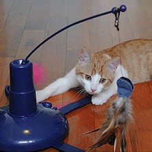 Esranın Dünyası Eğlenceli Elektronik Oyuncak