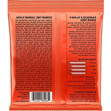 Esranın Dünyası Ernie Ball P02215 Skinny Top Heavy Bottom 10-52 Elektro Gitar Teli