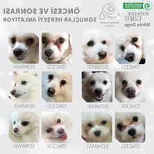 Esranın Dünyası Beyaz Tüylü Köpekler Için Özel Kuzu Etli Mama, 1,5 kg