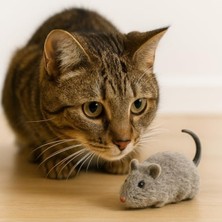 Esranın Dünyası Kurmalı Kedi Oyuncağı – Hareketli Fare Tasarımı