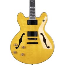 Esranın Dünyası Elektro Gitar - Yüksek Ses Kalitesi