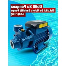 Esranın Dünyası QB60 Elektrikli Su Motoru 0.5hp 1 Inç Bahçe Pompası Su Pompası 2 Yıl Garaantili Ürün...