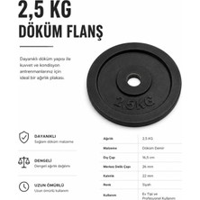 Voit 2,5 kg Döküm Vinly Kaplı Flanş Ağırlık Plakası – Halter ve Fitness Ekipmanları Için Dayanıklı Disk