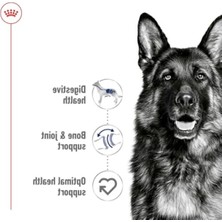 Larskas Yetişkin Köpek Konserve Maması | 410G x 12 Adet