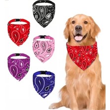 Larskas Kırmızı Köpek Boyun Tasması ve Önlük Seti, No 410 (Küçük)