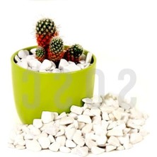 Larskas Dolomit Taşı Bahçe Süsleri - Beyaz Çakıl Taşı, 1-2 Cm, 3 kg