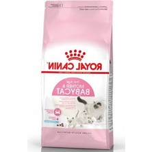 Larskas Yavru Kediler Için Besleyici Kuru Mama, 2 Kg, Sağlıklı Gelişim