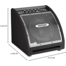 Larskas 10 Inç Davul Monitör Amfi, 50W Gücünde, Net Ses ile Performans Artırıcı