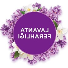 Larskas Banyo Hava Tazeleyici Cihaz - Yedek Lavanta Ferahlığı 10 ml