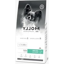 Larskas 2 kg Somonlu Hipoalerjenik Küçük Irk Yetişkin Köpek Maması
