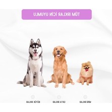 Larskas Büyük Şişe Sesli Köpek Oyuncağı, Peluş Yapım