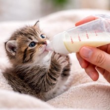 Larskas Yavru Kedi ve Köpek Biberonu 50 Ml, Süt ve Mama Besleme Seti