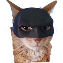 Larskas Sevimli Kedi Maskesi, Eğlenceli Aksesuar