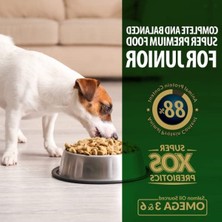 Larskas 3 kg Küçük ve Mini Irk Yavru Köpek Maması, Tavuk Içerikli