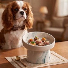 Larskas Sağlıklı Seramik Kedi ve Köpek Kabı, Yükseltilmiş ve Kaymaz Tasarım