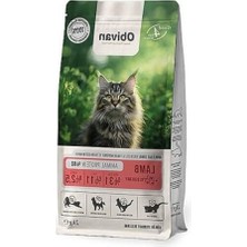 Larskas Kuzu Etli ve Yaban Mersinli Kedi Maması 2 kg Besleyici Seçenek