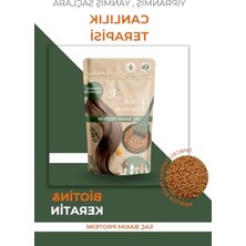Larskas Yıpranmış Saçlar Için Canlandırıcı Saç Bakım Proteini - 50 Gram