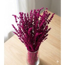 Rosess Şoklanmış Dökülmeyen Dayanıklı Gerçek Pembe Lavanta Demeti - Aranjman | Dekor | Süs