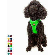 Larskas Küçük ve Orta Irk Kedi Köpek Göğüs Tasması - Yumuşak, Nefes Alabilir, Dayanıklı (Neon-Yeşil, Xsmal