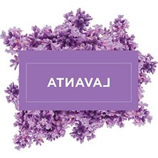 Larskas Lavanta Kokulu Yüzey Temizleyici, 1000 ml ile Etkili Arındırma