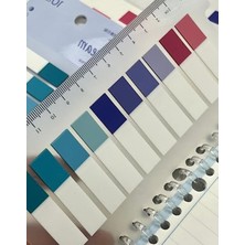 Larskas Renkli Cetvelli Şeffaf Pet Indeks Sticker, 10 Adet Set Halinde