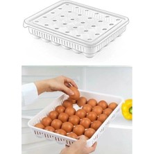 Larskas 30'lu Kapaklı Yumurta Saklama Kabı, Akrilik Plastik Yapılı