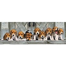 Larskas 1000 Parça Yetişkin Puzzle – Beagle Temalı Panorama