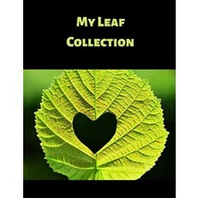 Karahanbey My Leaf Collection: Activity Book For Adults And Kids Of All Ages In 8.5" x 11" With 100 Blank Page